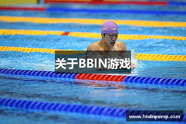 关于BBIN游戏